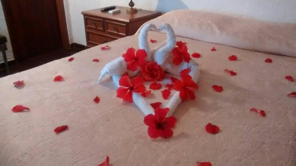 Hotel Fazenda Villa-Forte Engenheiro Passos Dış mekan fotoğraf